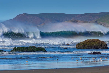 Picture of WAVES IN CAYUCOS II