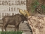 Picture of ALPINE COLLAGE III