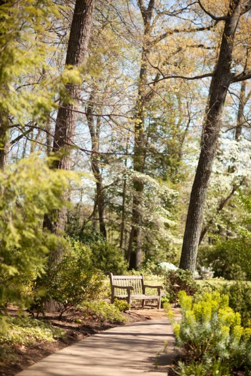 Picture of PARK BENCH