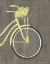 Picture of SPRING BIKE II