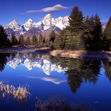 Picture of GRAND TETON NATIONAL PARK VII