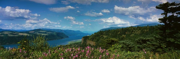 Picture of COLUMBIA RIVER GORGE V