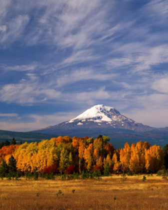 Picture of MT. ADAMS IV