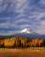 Picture of MT. ADAMS IV