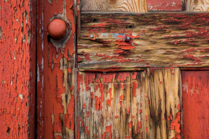 Picture of WEATHERED DOOR II