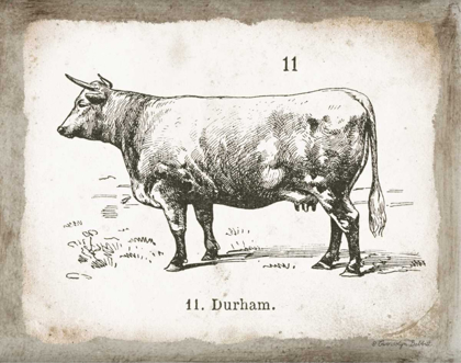 Picture of FRENCH COW II