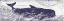 Picture of WHALE ON CREAM I