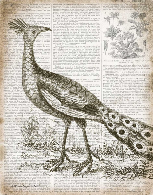 Picture of VINTAGE BIRD I