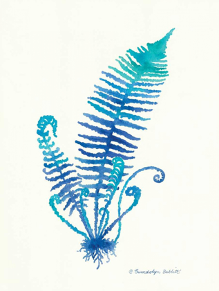 Picture of OMBRE FERN II