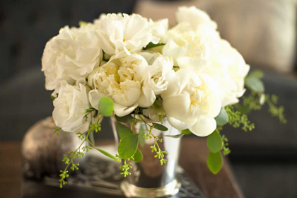 Picture of VINTAGE WHITE PEONY