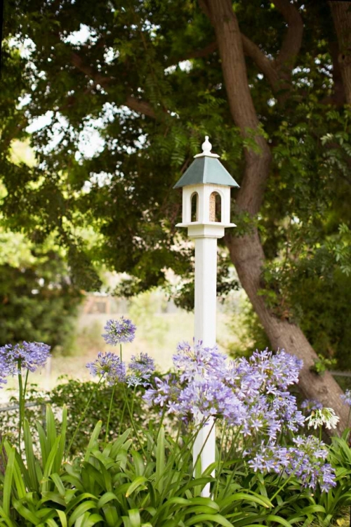 Picture of BIRD HOUSES II