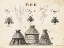 Picture of BEE CHART I