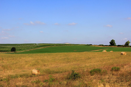 Picture of ITALIAN-LANDSCAPE-HAY-BALES