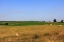 Picture of ITALIAN-LANDSCAPE-HAY-BALES