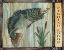Picture of LODGE FISH