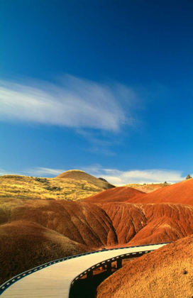 Picture of PAINTED HILLS