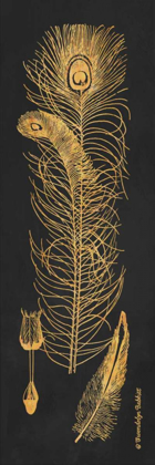 Picture of GOLD FEATHERS II