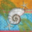 Picture of PACIFIC SHELLS III