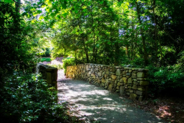 Picture of SHADED BRIDGE II