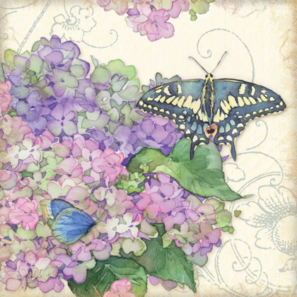 Picture of HYDRANGEA AND BUTTERFLIES