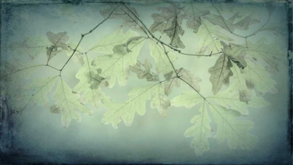 Picture of OAK LEAVES