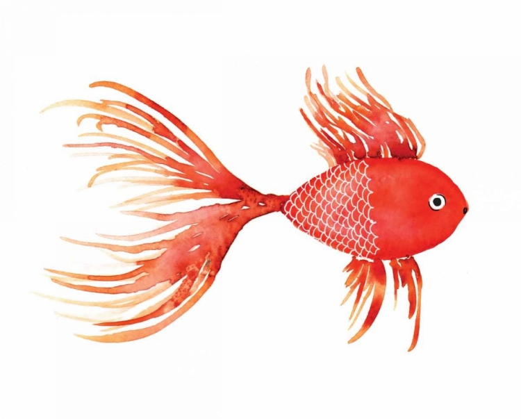 Picture of DEEP SEA RED FISH