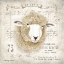 Picture of FRENCH SHEEP
