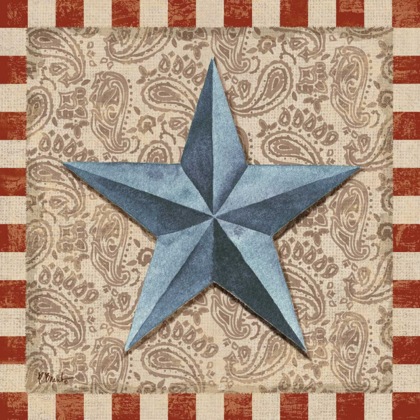 Picture of AMERICAN BARN STAR II