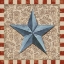 Picture of AMERICAN BARN STAR II
