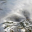 Picture of CURRENT II