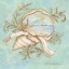 Picture of TREASURES OF THE TIDE II