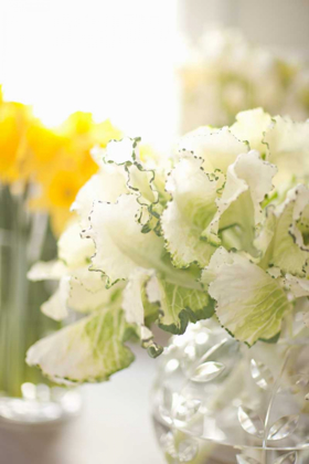 Picture of WHITE BOUQUET