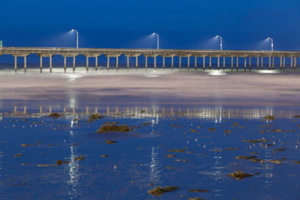 Picture of EVENING PIER I