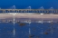 Picture of EVENING PIER I
