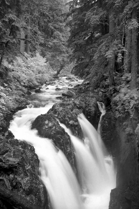 Picture of SOL DUC RIVER FALLS BW