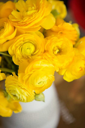 Picture of YELLOW RANUNCULUS