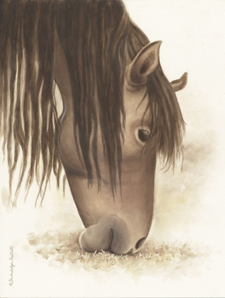 Picture of LOVELY BROWN HORSE 