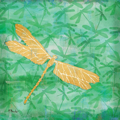 Picture of AURORA DRAGONFLY