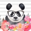 Picture of PANDA WITH GLASSES