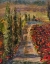 Picture of POPPY ROAD