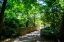 Picture of SHADED BRIDGE I