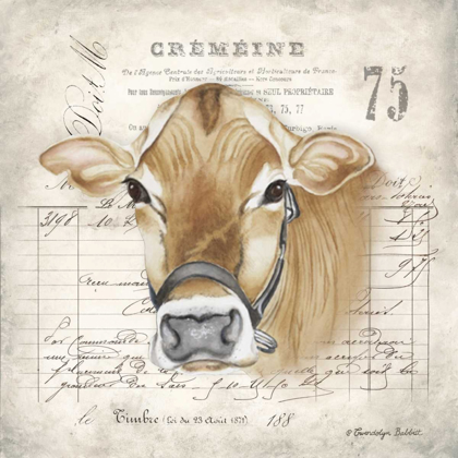 Picture of FRENCH COW