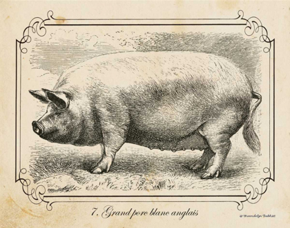 Picture of FARM PIG II