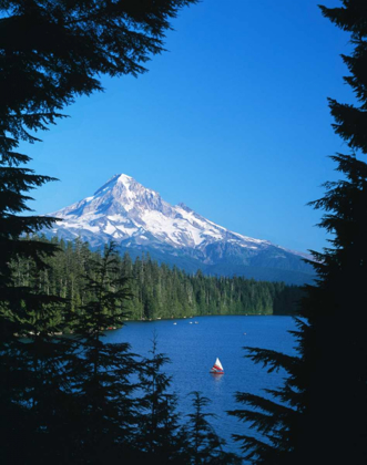 Picture of MT. HOOD VI