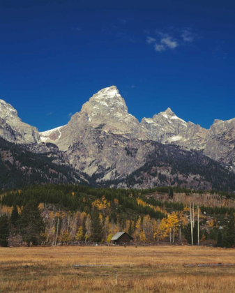 Picture of CABIN AND GRAND TETON