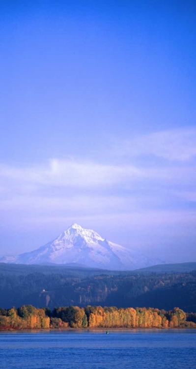 Picture of MT. HOOD XIX