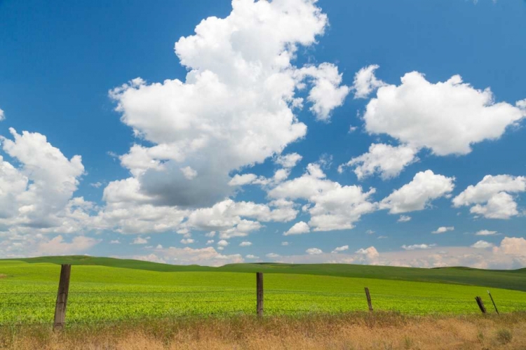 Picture of PALOUSE FARM I