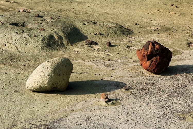 Picture of BOULDER-FAMILY-BOSA-SARDINIA-SEA