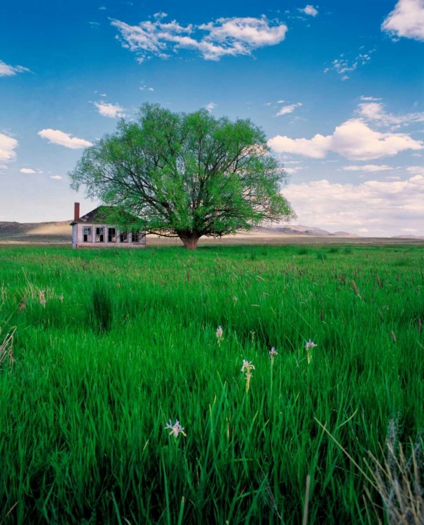 Picture of PIONEER SCHOOL