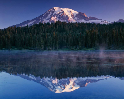 Picture of MT. RAINIER I